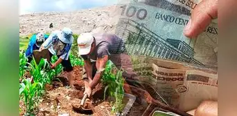 FertiAbono 2023, LINK oficial: ¿cómo saber si soy beneficiario con mi DNI y hasta cuándo puedo cobrarlo?