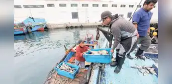 Pescadores artesanales exigen promulgación de la ley que protege las 5 millas