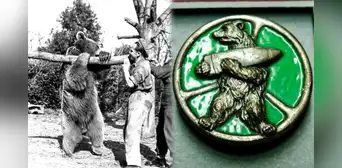 Wojtek, el oso soldado que se convirtió en un héroe de guerra por luchar contra los nazis Wojtek, el oso soldado que se convirtió en un héroe de guerra por luchar contra los nazis