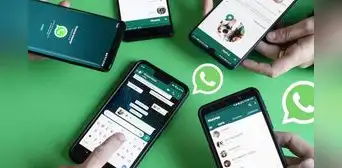 Igual a Telegram: WhatsApp dejará de mostrar números telefónicos y usará los nombres de usuario