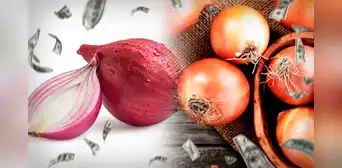 ¿Es caro comprar cebollas? Este es el país donde es un lujo comerlas