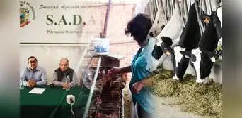 Producción de carne de pollo en riesgo por bloqueos que impiden ingreso de productos de Bolivia Producción de carne de pollo en riesgo por bloqueos que impiden ingreso de productos de Bolivia