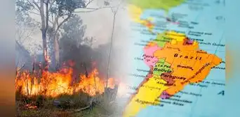 Crisis en Sudamérica: ¿cuáles son los países más afectados por incendios forestales? Crisis en Sudamérica: ¿cuáles son los países más afectados por incendios forestales?