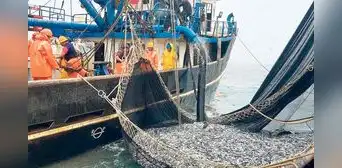 Proponen reducir multas en el sector pesca hasta un 90% Proponen reducir multas en el sector pesca hasta un 90%
