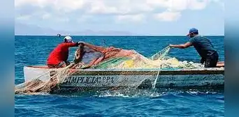 Aprueban dictamen para que las 5 primeras millas del litoral sean de uso exclusivo de la pesca artesanal