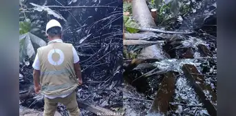 Derrame de petróleo en Amazonas afectó la quebrada Cayamas y los ríos Chiangos y Nieva, según OEFA Derrame de petróleo en Amazonas afectó la quebrada Cayamas y los ríos Chiangos y Nieva, según OEFA