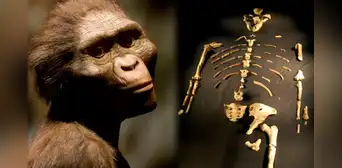 La historia de Lucy: ¿por qué es considerada el fósil que reescribió la evolución humana? La historia de Lucy: ¿por qué es considerada el fósil que reescribió la evolución humana?