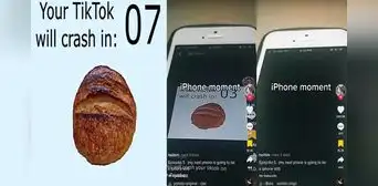 Video del pan girando: ¿Por qué este tiktok puede 'crashear' tu teléfono en 8 segundos? Video del pan girando: ¿Por qué este tiktok puede 'crashear' tu teléfono en 8 segundos?