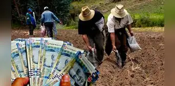 Bono FertiAbono 2023: conoce el LINK oficial y revisa si te corresponde este apoyo económico Bono FertiAbono 2023: conoce el LINK oficial y revisa si te corresponde este apoyo económico