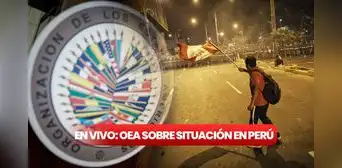 Consejo de la OEA EN VIVO: La OEA le pide al Gobierno peruano que convoque pronto elecciones Consejo de la OEA EN VIVO: La OEA le pide al Gobierno peruano que convoque pronto elecciones