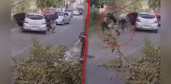 Se salva de ser asaltado tras poner sonidos de disparos por la bocina: "Un genio" Se salva de ser asaltado tras poner sonidos de disparos por la bocina: "Un genio"