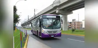 Corredor Morado: ¿por qué todas sus líneas podrían dejar de operar indefinidamente? Corredor Morado: ¿por qué todas sus líneas podrían dejar de operar indefinidamente?