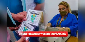 Carnet verde en Panamá: ¿qué requisitos debo cumplir para obtenerlo?