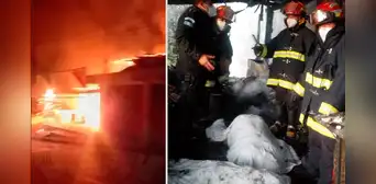 7 miembros de una familia fallecen en un incendio: padre se lanzó al fuego para salvarlos 7 miembros de una familia fallecen en un incendio: padre se lanzó al fuego para salvarlos