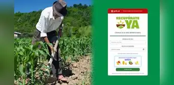 Bono sequía 2023: LINK oficial, cronograma de pago según tu DNI y más detalles del subsidio Bono sequía 2023: LINK oficial, cronograma de pago según tu DNI y más detalles del subsidio
