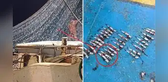 ¡Anchovetas en peligro! Exigen al Ministerio de Producción que cierre la temporada de pesca ¡Anchovetas en peligro! Exigen al Ministerio de Producción que cierre la temporada de pesca