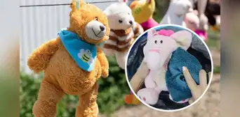 ¿Cómo lavar los peluches en casa sin que se estropeen? Estos 3 trucos te ayudarán a lograrlo