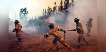 Incendios forestales en Chile: al menos 4 personas mueren en medio de “estado de catástrofe” Incendios forestales en Chile: al menos 4 personas mueren en medio de “estado de catástrofe”