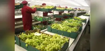 Midagri: El 35% de las agroexportaciones estaría en riesgo por protestas