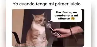 Día del Abogado: los memes más ingeniosos que circulan en redes