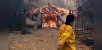 Chile: incendios forestales dejan al menos siete muertos Chile: incendios forestales dejan al menos siete muertos