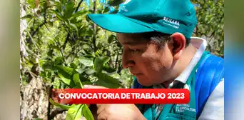 ¿Acabaste la secundaria? Senasa lanza convocatoria de trabajo con sueldos entre S/1.025 y S/6.500 ¿Acabaste la secundaria? Senasa lanza convocatoria de trabajo con sueldos entre S/1.025 y S/6.500