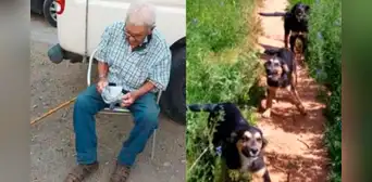 Rescatan a hombre de 103 años de incendio en Chile, pero sus perros no logran escapar Rescatan a hombre de 103 años de incendio en Chile, pero sus perros no logran escapar