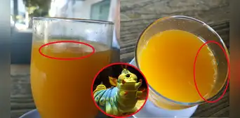 Joven pidió un zumo de naranja en el bar y terminó horrorizada: "Fibra y proteínas por solo €2,5"