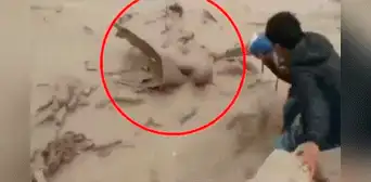 Arequipa: pobladores se aventaron a huaico para salvar a hombre que era arrastrado por el lodo Arequipa: pobladores se aventaron a huaico para salvar a hombre que era arrastrado por el lodo