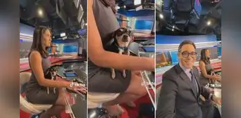 Conductora de noticias no pudo dejar solo a su perrito y salió al aire con él en sus piernas Conductora de noticias no pudo dejar solo a su perrito y salió al aire con él en sus piernas