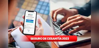 ¿Si renuncio, puedo cobrar el Seguro de Cesantía? Estos son los requisitos para solicitarlo ¿Si renuncio, puedo cobrar el Seguro de Cesantía? Estos son los requisitos para solicitarlo