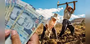 Bono Agrario 2023: LINK oficial para consultar con tu DNI y saber si eres beneficiario