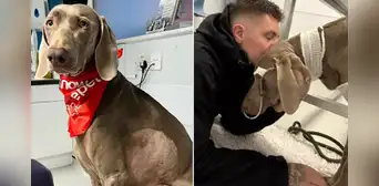 ¿Qué estarías dispuesto a hacer por tu mascota? Joven pone en venta su casa para pagarle tratamiento ¿Qué estarías dispuesto a hacer por tu mascota? Joven pone en venta su casa para pagarle tratamiento