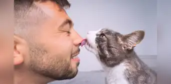 ¿Cómo saber si mi gato me quiere? Estas 4 señales confirman que te aprecia mucho ¿Cómo saber si mi gato me quiere? Estas 4 señales confirman que te aprecia mucho
