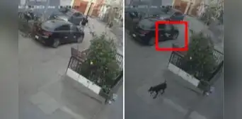 Ate: delincuente huye de robo tras ser impactado con un ladrillo lanzado por vecinos Ate: delincuente huye de robo tras ser impactado con un ladrillo lanzado por vecinos