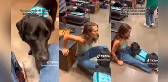 Tierno perro sorprende al ayudar a su dueña a prevenir un episodio nervioso en centro comercial Tierno perro sorprende al ayudar a su dueña a prevenir un episodio nervioso en centro comercial