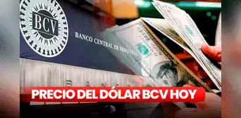 Precio del dólar BCV HOY, domingo 12 de febrero: tasa oficial en Banco Central de Venezuela
