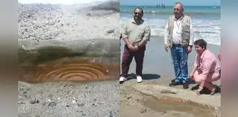 Tumbes: encuentran un petroglifo en la playa de Zorritos