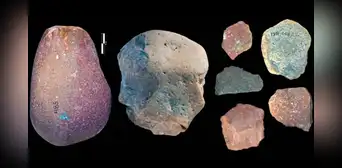 Herramientas de hace 3 millones de años no fueron hechas por humanos, sugiere estudio Herramientas de hace 3 millones de años no fueron hechas por humanos, sugiere estudio