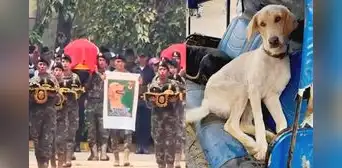 "Marquito", perro policía muere tras emboscada en el Vraem que dejó siete agentes fallecidos "Marquito", perro policía muere tras emboscada en el Vraem que dejó siete agentes fallecidos