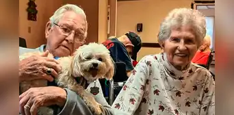 Juntos desde secundaria: ancianos celebrarán su 70.° aniversario de bodas en San Valentín Juntos desde secundaria: ancianos celebrarán su 70.° aniversario de bodas en San Valentín