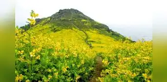¿Te gusta el trekking? Estas son las 9 lomas que puedes visitar sin salir de Lima ¿Te gusta el trekking? Estas son las 9 lomas que puedes visitar sin salir de Lima