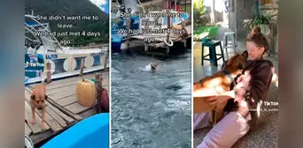 Perrita se encariña con turista y se lanza al mar para seguirlo de regreso a su país: "Dime que la llevaste" Perrita se encariña con turista y se lanza al mar para seguirlo de regreso a su país: "Dime que la llevaste"