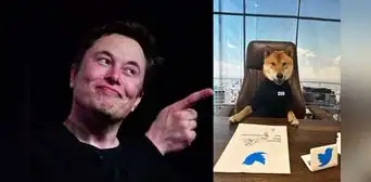 ¿Elon Musk halló un nuevo CEO para Twitter? Millonario bromea y muestra a perro en su puesto ¿Elon Musk halló un nuevo CEO para Twitter? Millonario bromea y muestra a perro en su puesto