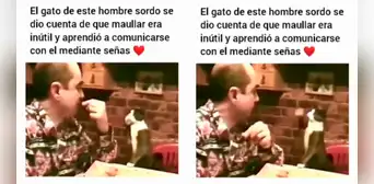 Gatito aprendió a comunicarse con su dueño sordo a través de señas