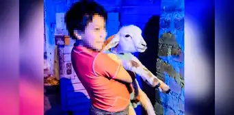 Niño alza y abraza a su corderito que fue rescatado por serenos en Cajamarca Niño alza y abraza a su corderito que fue rescatado por serenos en Cajamarca