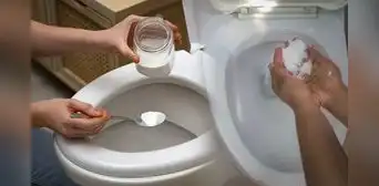 ¿Por qué debes colocar sal en tu inodoro cada noche?