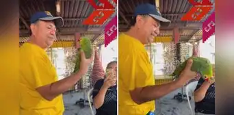 Hombre ‘ofende’ a su lorito y este demuestra su enojo con curiosa reacción: “Estás bien feo” Hombre ‘ofende’ a su lorito y este demuestra su enojo con curiosa reacción: “Estás bien feo”