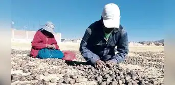 Gobierno anuncia plan para reducir la pobreza en el país Gobierno anuncia plan para reducir la pobreza en el país
