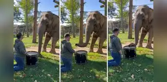 Joven toca el tambor a su elefante para distraerlo, pero él le enseña cómo hacerlo mejor